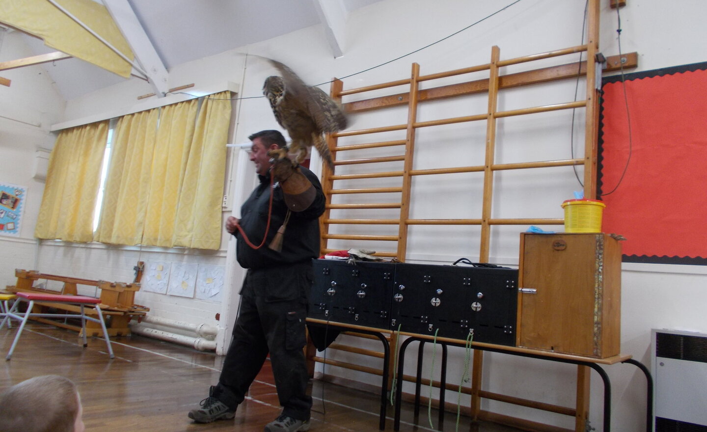 Image of The Owl man!